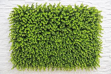 《祇：女神之道》Steam特别好评 战斗出彩